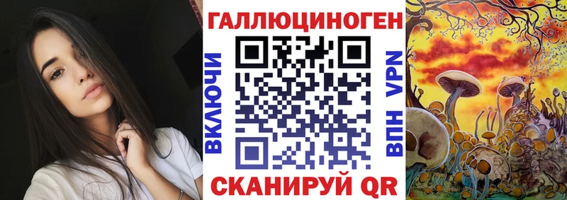 Галлюциногенные грибы Magic Shrooms  где найти   Димитровград 