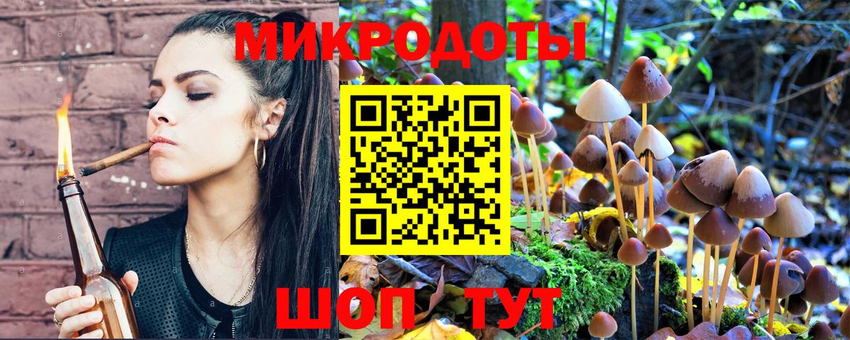 Димитровград  Псилоцибиновые грибы Psilocybine cubensis  Вход с VPN 