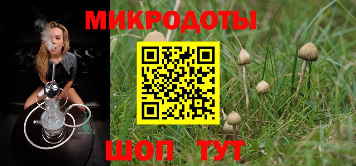 Псилоцибиновые грибы мицелий Димитровград